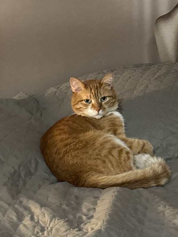 Woman enjoys meal at outdoor cafe in Bar, Montenegro