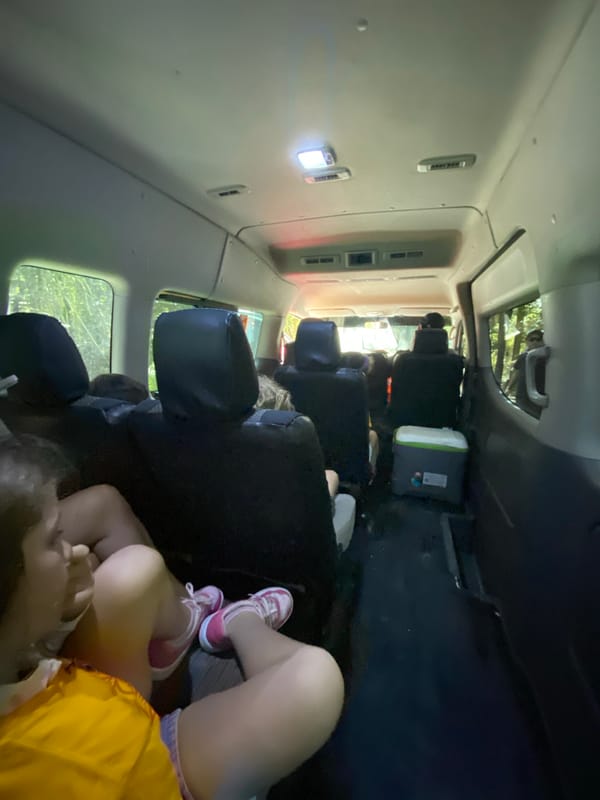 Van interior and thatched building scenes captured in Leona Vicario