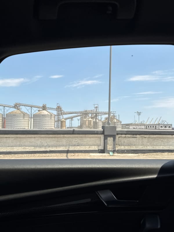 Industrial grain silos documented in Veracruz City