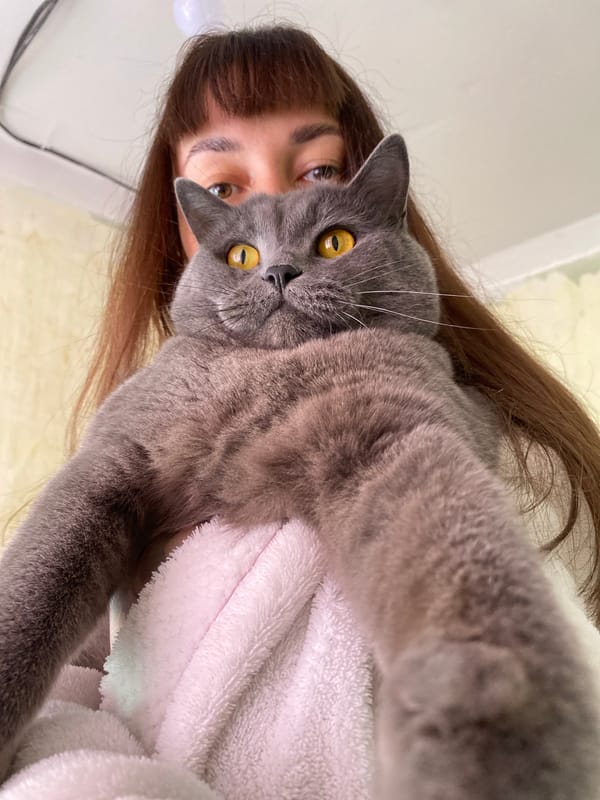 Woman takes selfie with gray cat in Votkinsk