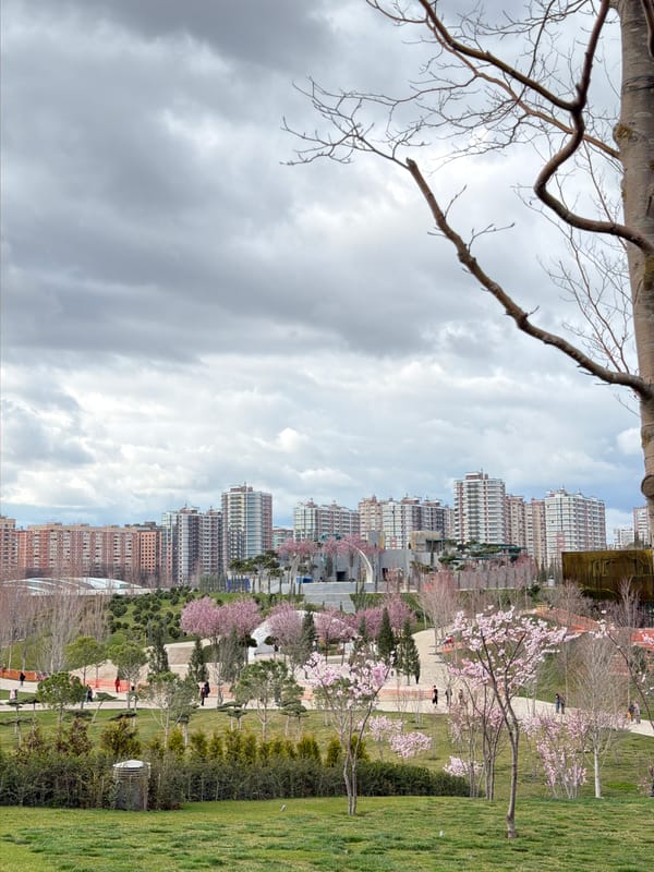 Spring afternoon leisure activity documented at Krasnodar City Garden