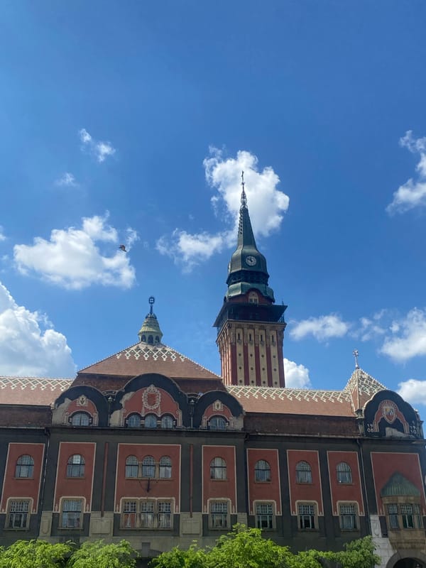 Woman cycles past Subotica City Hall with flower basket