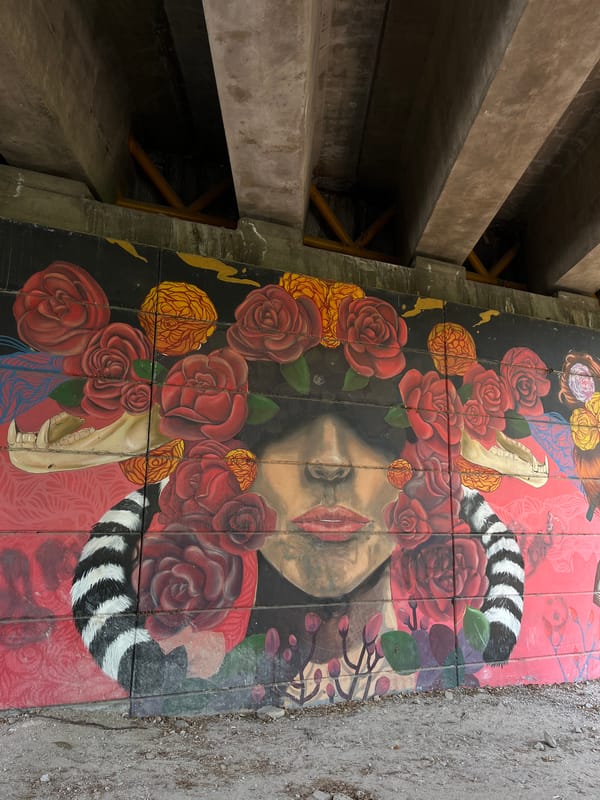 Street art and infrastructure documented in Tlaxcalancingo, Mexico