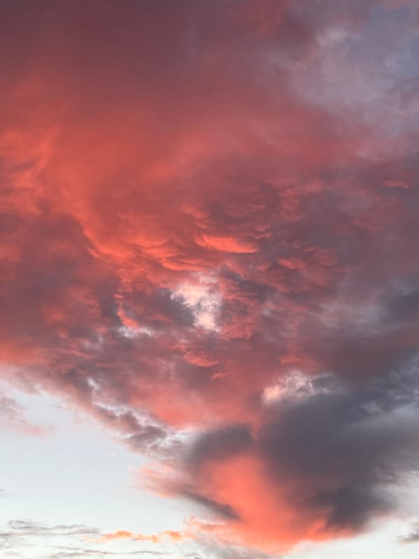 Bruges rooftop sunset, clouds going full coral to dusk