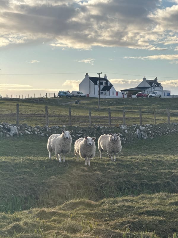 Rural coastal community documented during afternoon walking tour