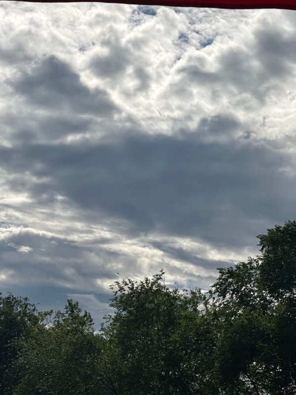 Afternoon sky and treetop views with shifting cloud cover