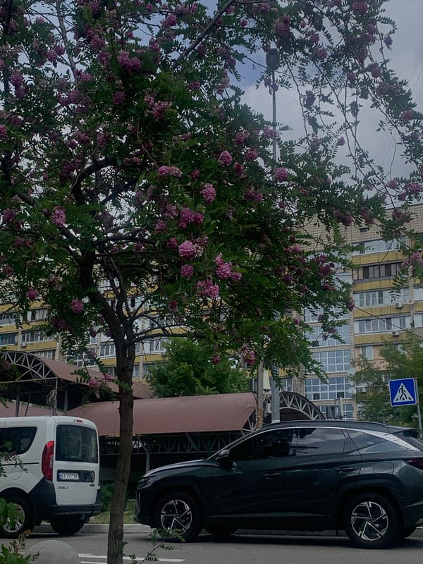 Morning street scenes captured across Kyiv neighborhoods