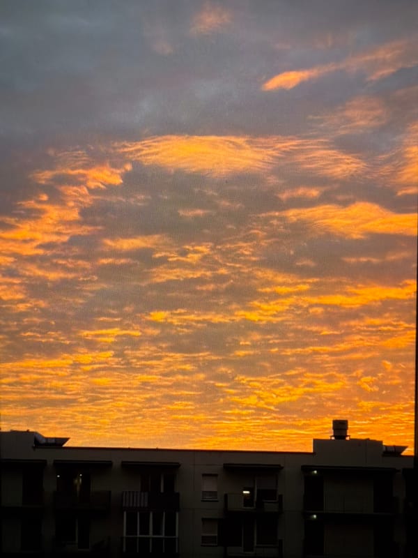 Evening in Vilnius: sunset, tulips, portrait, and shopping
