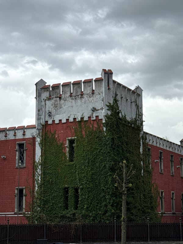 Afternoon scenes documented across Oviedo's streets and parks