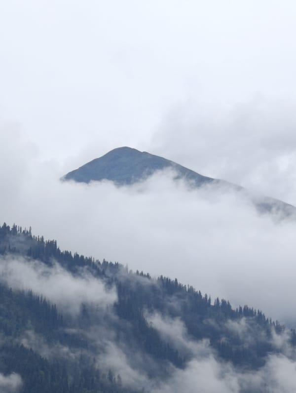Mountain peak emerges through clouds above mist-covered forest