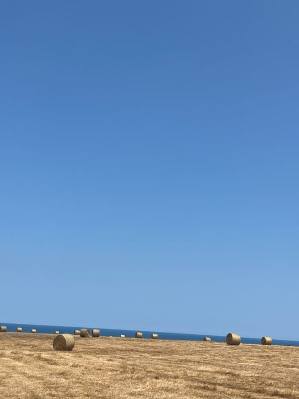 Hay bales and Black Sea cliffs on a summer day in Lozenets