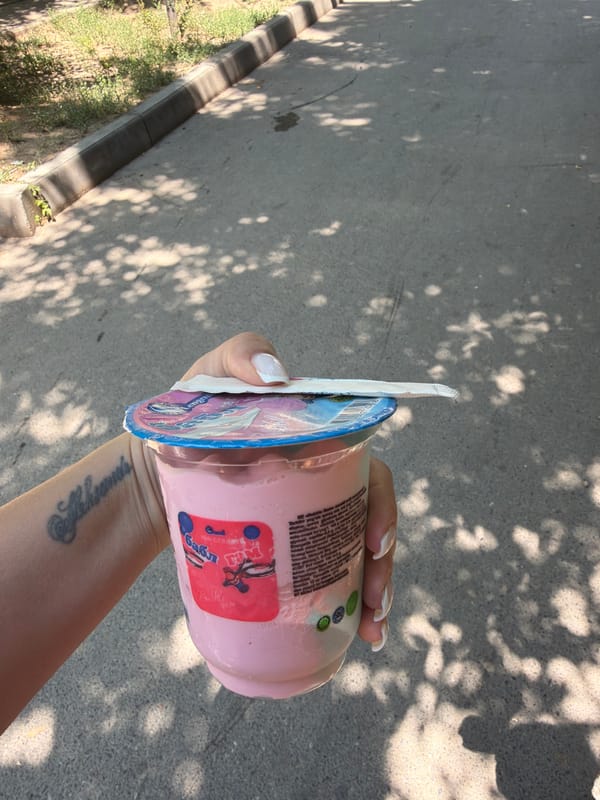 Ice cream variety on a sunny Shymkent morning