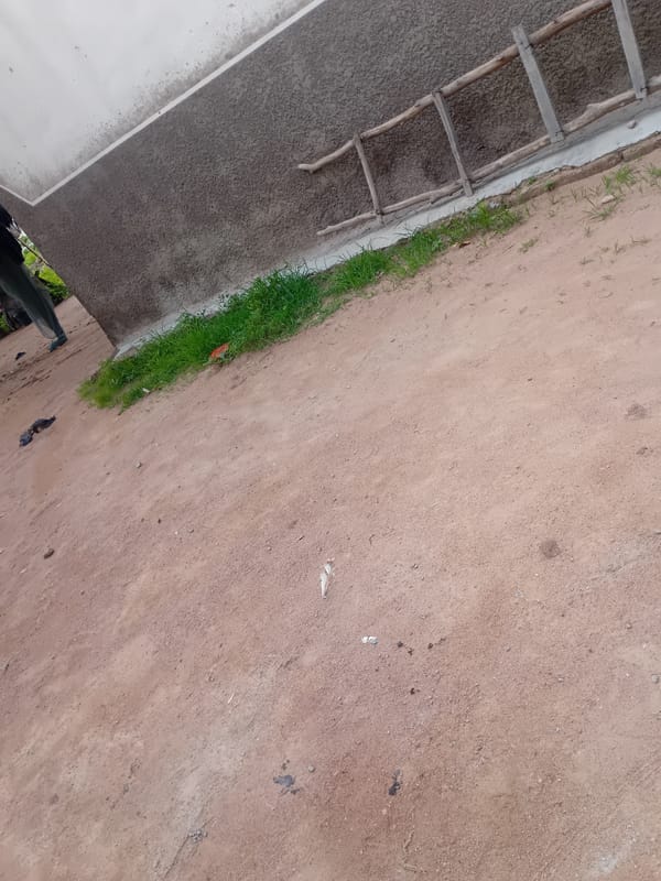 Morning walk through rural Jauro Yinu Nigeria documented