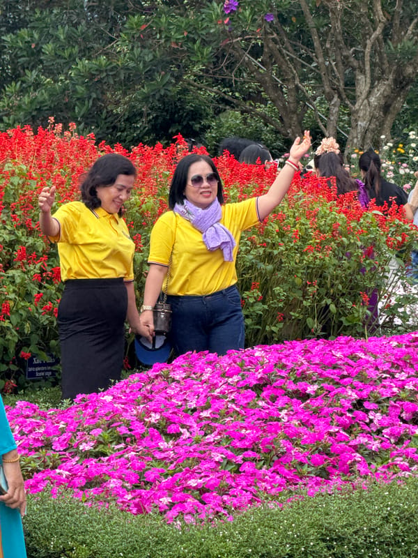 Visitors stroll a flower-lined garden in Da Lat, Vietnam