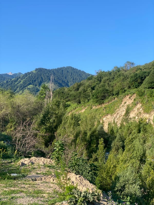 Exploring Almaty's green foothills, rivers, and wild nature