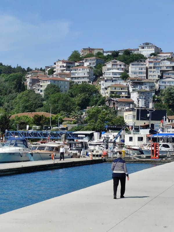 Morning scenes from Sarıyer waterfront and indoor cat moments