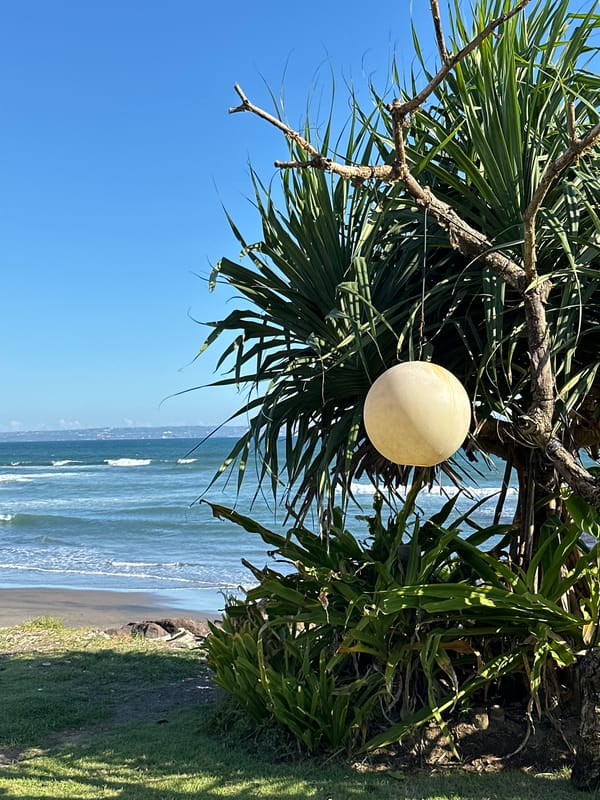 Yellow spherical object spotted hanging from tree at outdoor venue