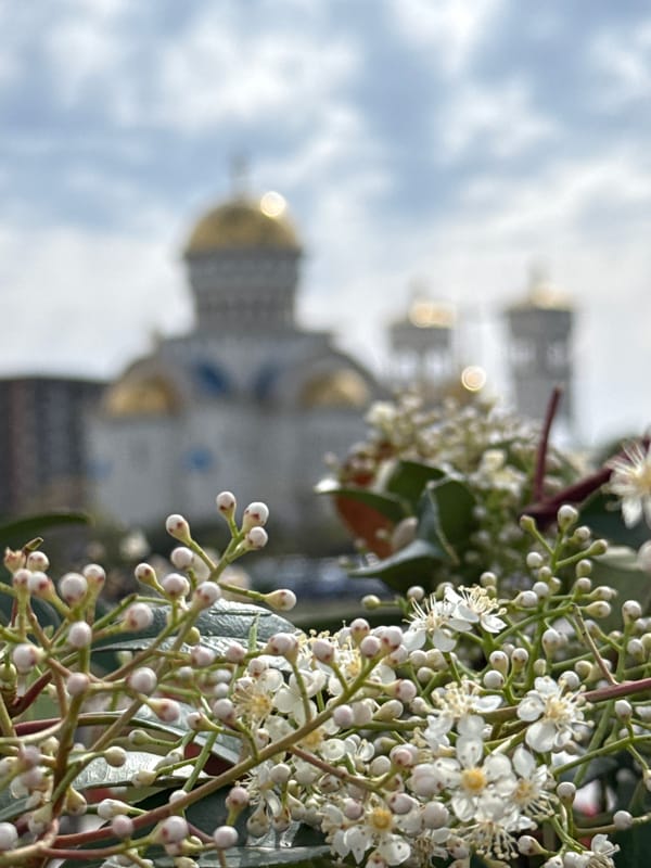 Ordinary afternoon scenes documented across Bar, Montenegro