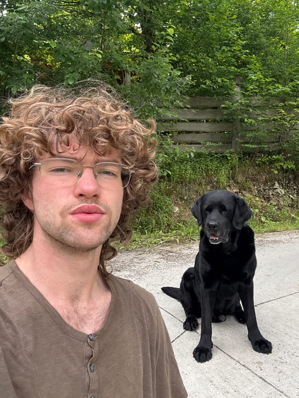 Morning walk with a dog through rural Tylmanowa, Poland