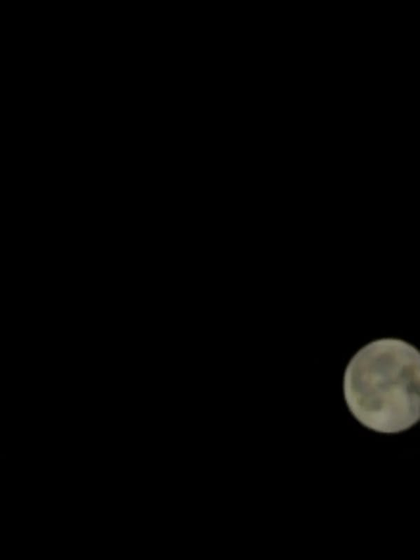 Witness Documents Moon Observation Session With Monitoring Equipment