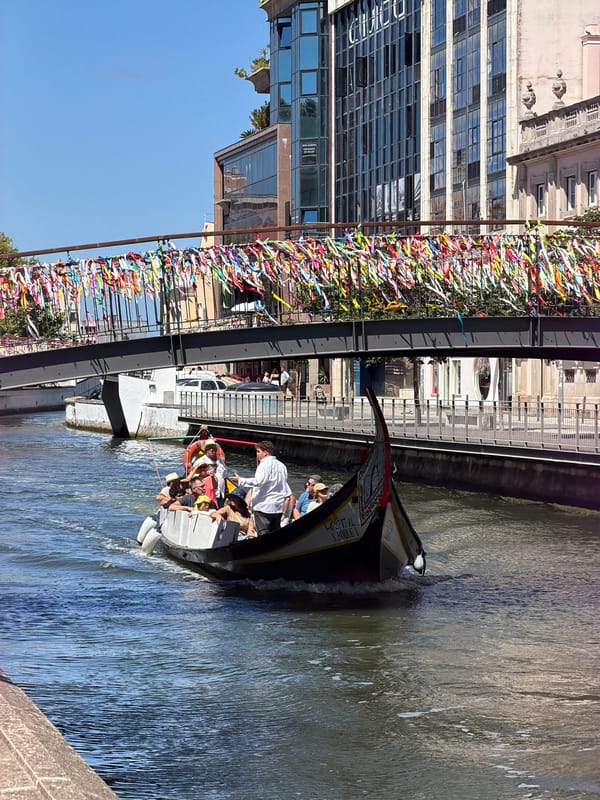 Tourist boat tours Aveiro's ribbon-decorated canal bridges on sunny morning