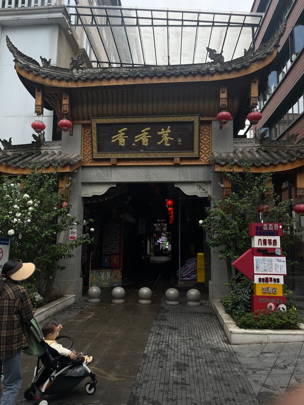 Traditional gate entrance observed in Chengdu shopping district