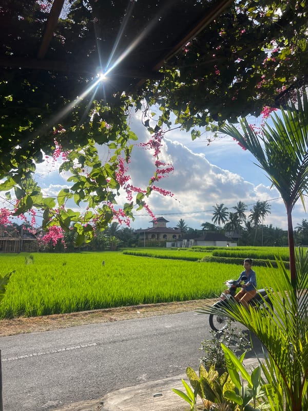Morning scenes captured in rural Tampaksiring, Indonesia
