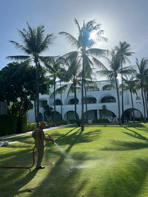 Woman in tropical setting, groundskeeper watering lawn observed Tuesday morning