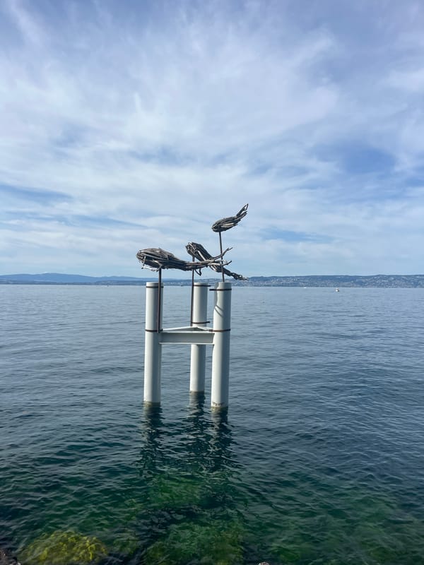 Driftwood sculptures and lake life along the Évian-les-Bains waterfront