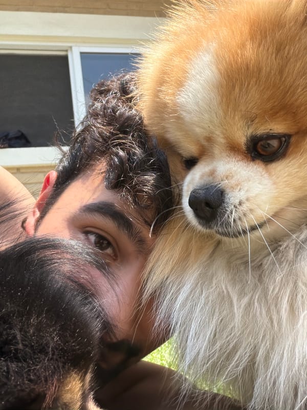 Man and Pomeranian dog relax on grass in Cuautla
