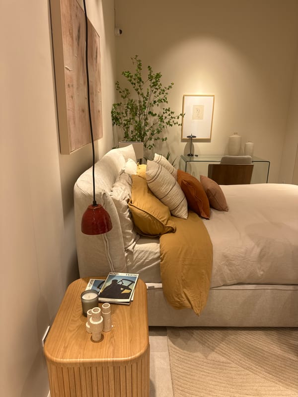 Belgrade furniture showrooms and cozy home moments, cats included