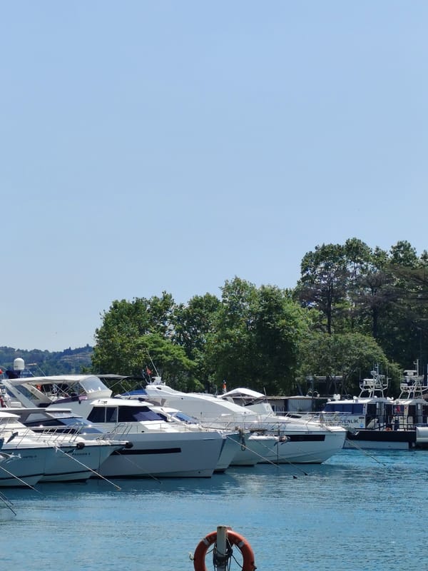 Peaceful Marina Morning Documented in Sarıyer, Turkey