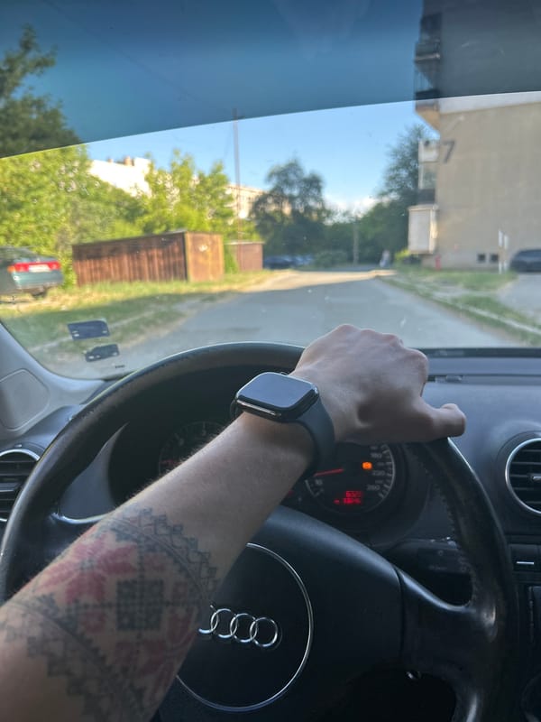 Quiet afternoon scenes captured in Kazanlak: driving, resting kitten
