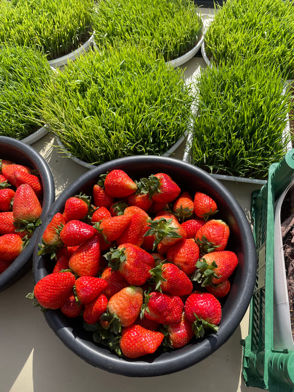 Daily life moments documented across Yerevan neighborhoods
