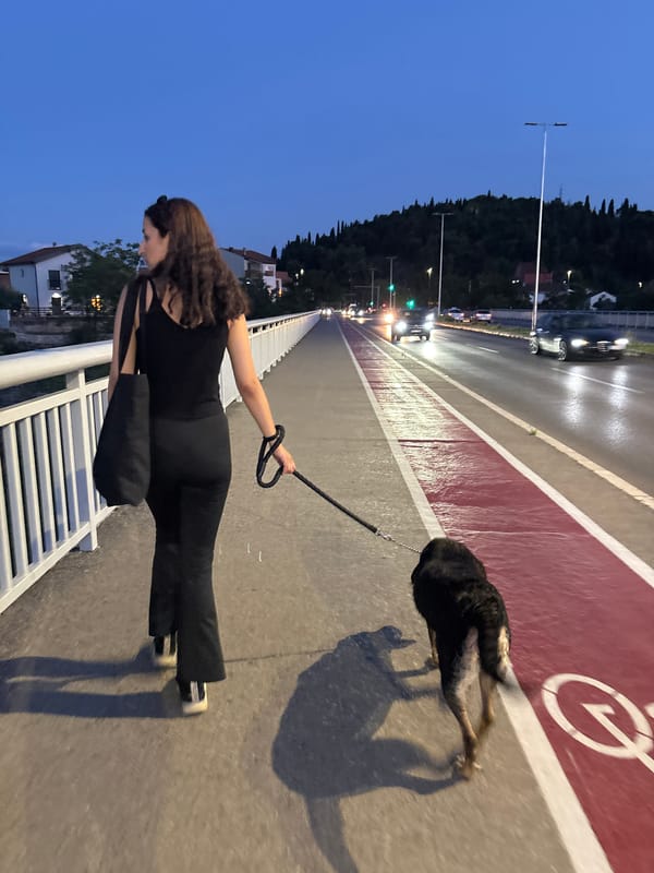 Evening walk with a dog along the Morača River, Podgorica