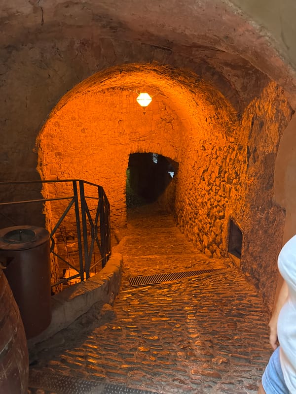 Medieval alleyways, bridges, and river gorge in Dolceacqua, Italy