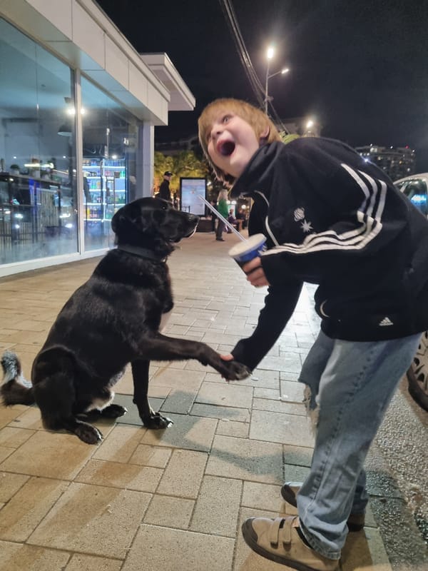 Young person plays with large dog on Sochi sidewalk