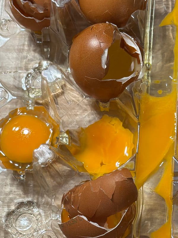 Broken eggs documented in carton in Catania, Italy