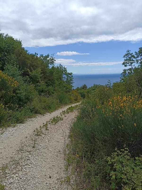 Rural path documented in Zagrađe, Montenegro with sea views