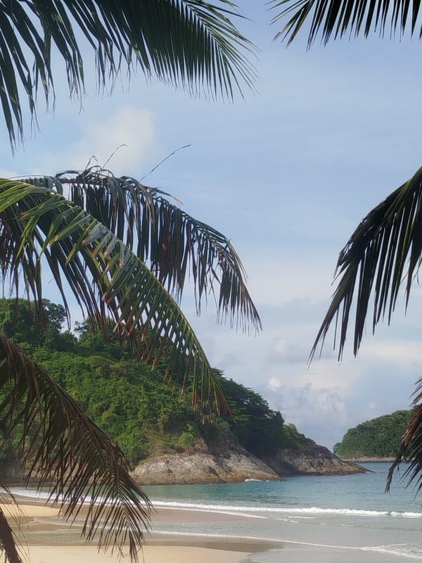 Calm afternoon on Rawai beach, poodle included