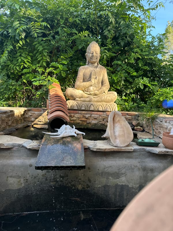 Peaceful garden scenes and casual moments documented in Altea