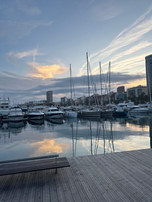 Evening marina scene captured in Alicante with contrails overhead