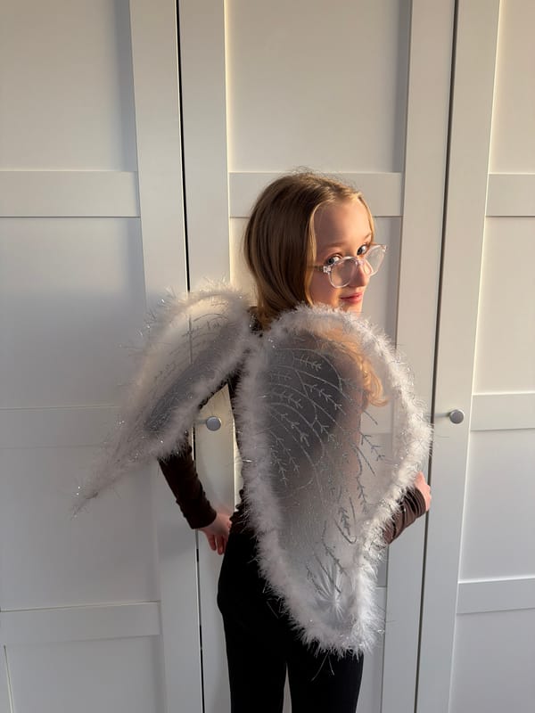 Domestic moments and sunset captured in Dreiliņi, Latvia