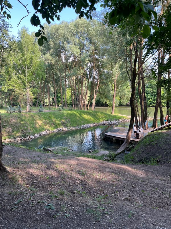 Riverside bike stop in Дачное's wooded parkland