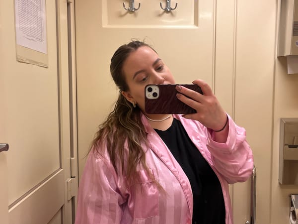 Woman takes bathroom selfie in Volgograd public restroom