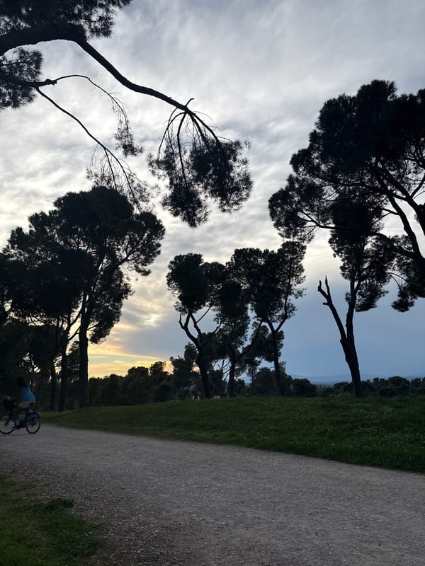 Cyclist spotted on tree-lined gravel path in Madrid
