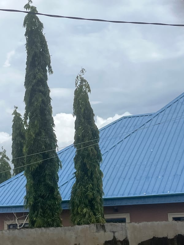 Residential life snapshots from Jalingo Nigeria neighborhoods