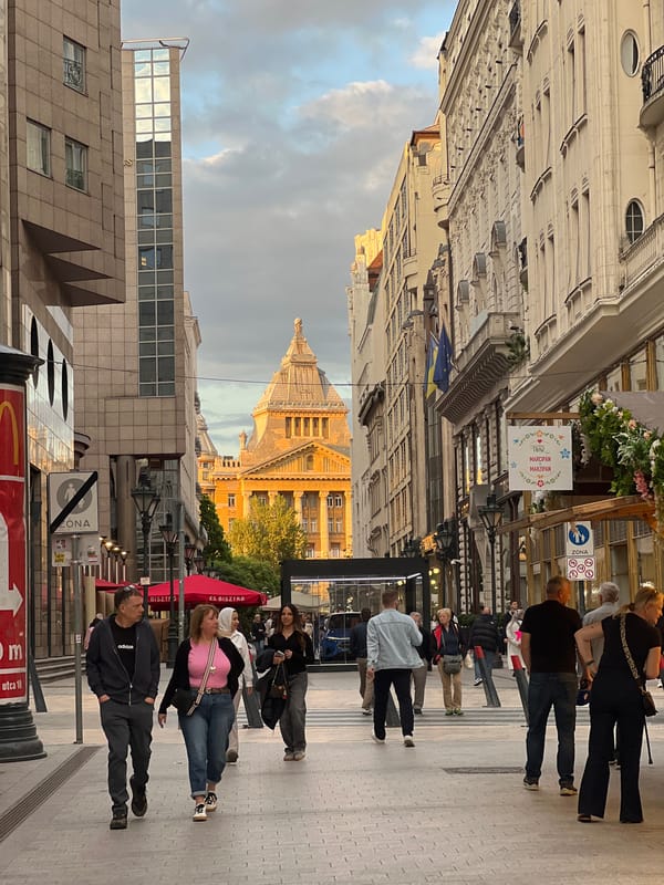 Budapest street life and cat merchandise observed Tuesday evening