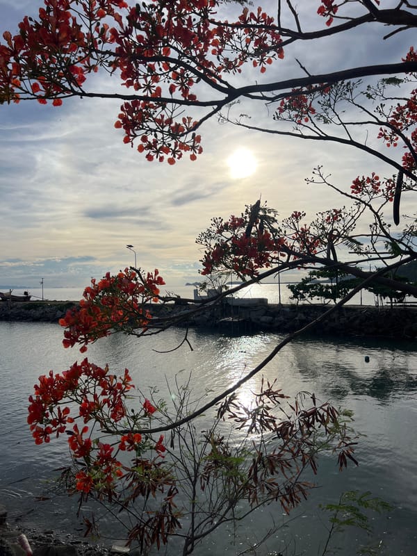 Exploring Ban Tai Subdistrict's tropical gardens and resort attractions