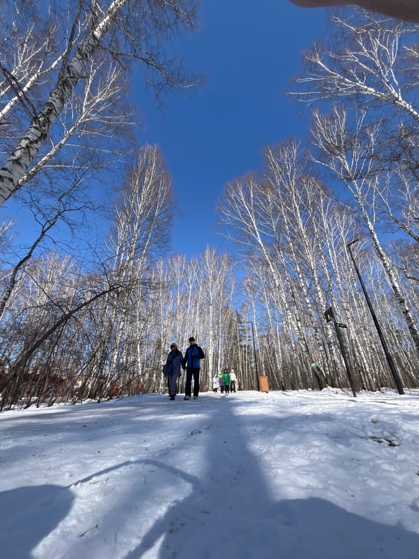 Winter morning scenes captured in Krasnoyarsk park